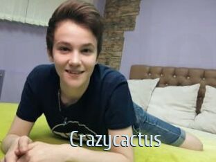 Crazycactus