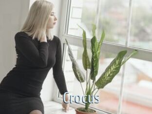 Crocus
