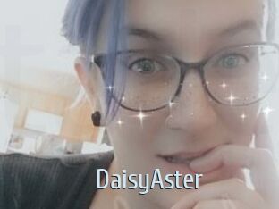 DaisyAster