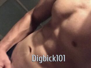 Digbick101