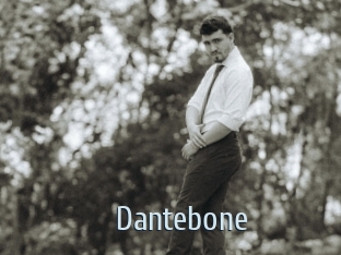 dantebone Ta Model