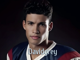 davidgrey Ta Model