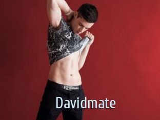 Davidmate
