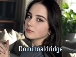 Dominoaldridge