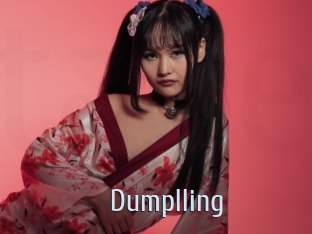 dumplling Ta Model