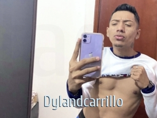 Dylandcarrillo
