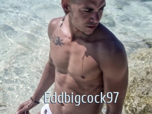 Eddbigcock97
