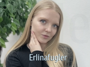 Erlinafugler