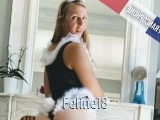 Feline18
