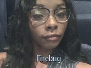 Firebug