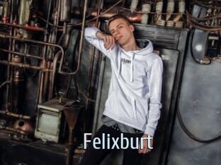 Felixburt