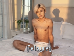 felixgrey Ta Model
