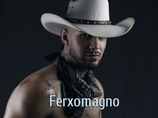 ferxomagno Ta Model