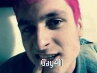 Gay411