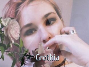 Grothia