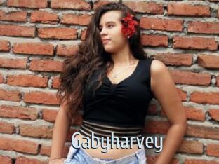 Gabyharvey
