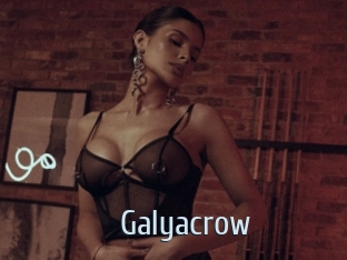 Galyacrow