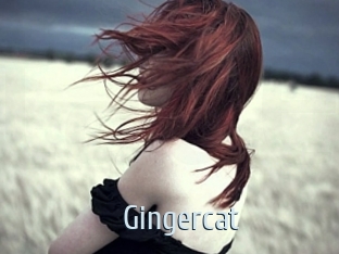 Gingercat