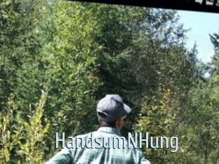 HandsumNHung