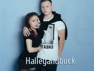 Halleyandbuck