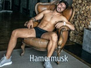 Hamermusk