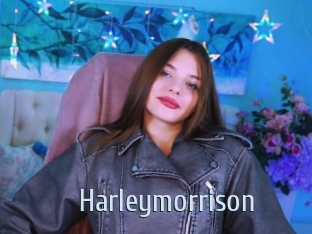 Harleymorrison