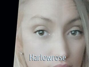 Harlowrose