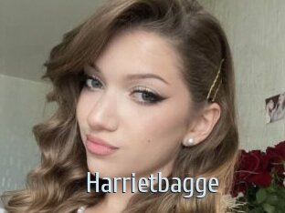 Harrietbagge