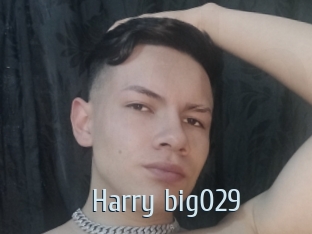 Harry_big029