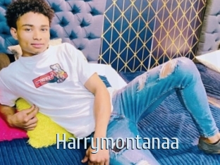 Harrymontanaa