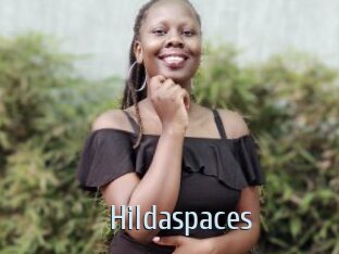 Hildaspaces
