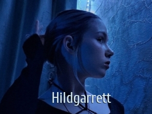 hildgarrett Ta Model