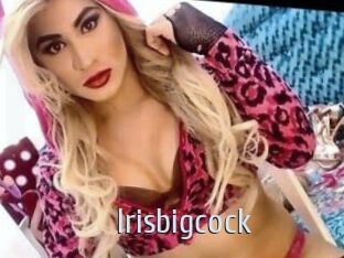 Irisbigcock