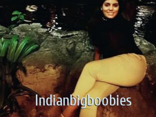 Indianbigboobies