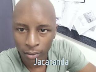 Jacaranda