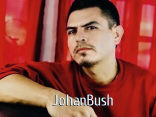 JohanBush
