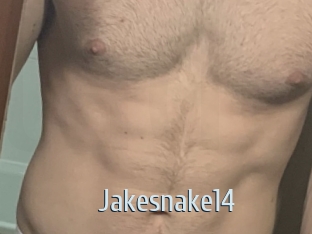 Jakesnake14