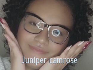 Juniper_camrose