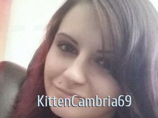 KittenCambria69