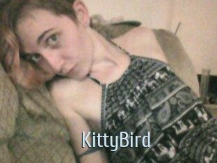 KittyBird