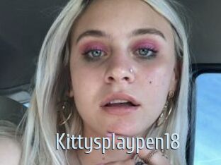 Kittysplaypen18
