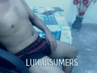 LUIGUISUMERS