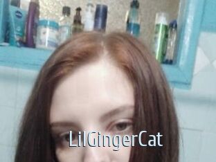 LilGingerCat