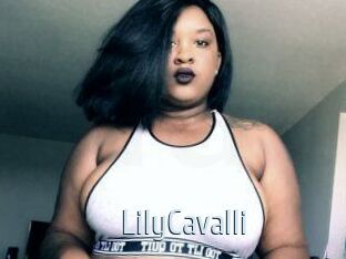 Lily_Cavalli