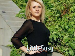LittleSusy