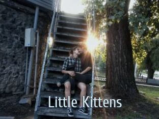 Little_Kittens