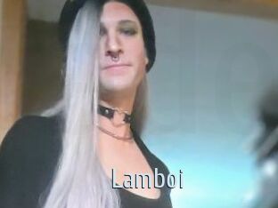 Lamboi