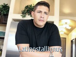 Latinostallionus