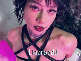 Liaaroadd