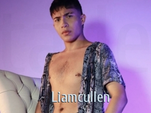 Liamcullen